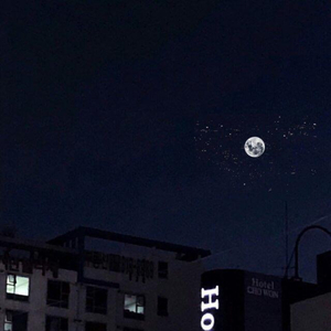 大屁股性爱视频
