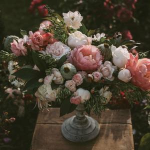 大屁股性爱视频
